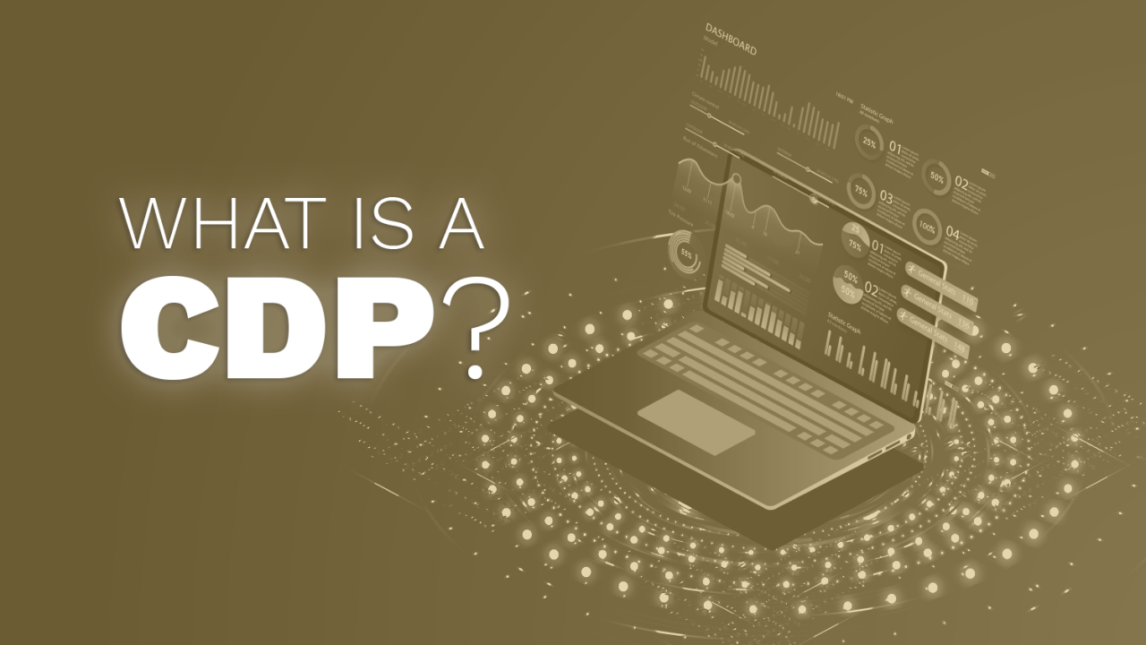 What is a CDP? | StellarAlgo