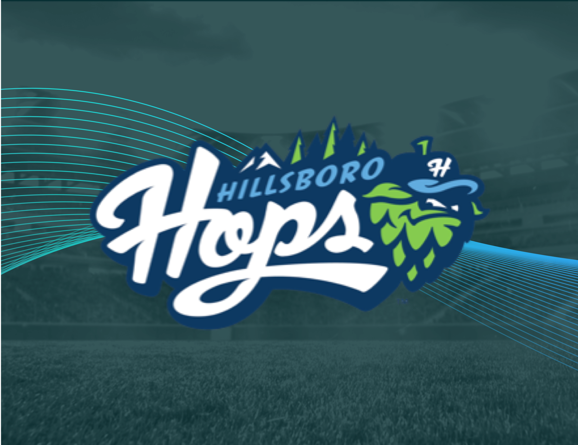Hillsboro Hops boost full season renewals by 10% StellarAlgo